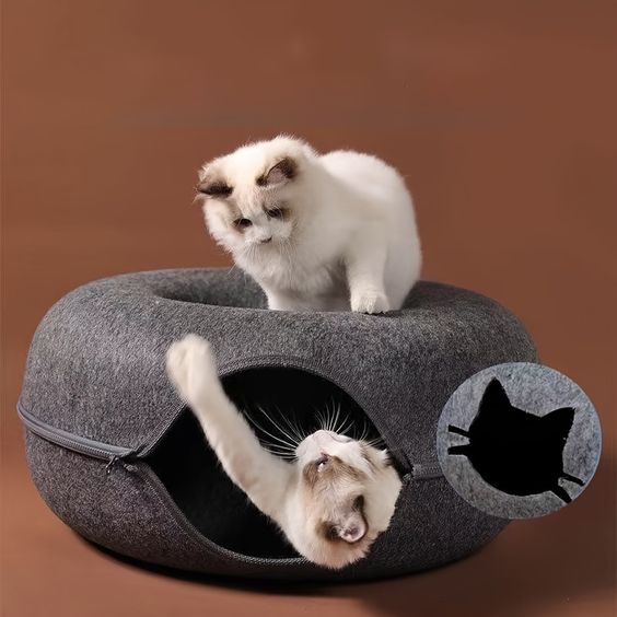 CAMA DONA PARA GATOS